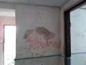 IMG_20190531_165415.jpg